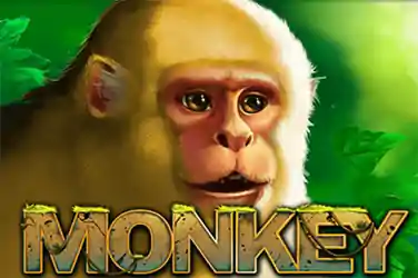 17_Monkey-min