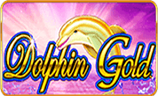 Dolphin-Gold-H5