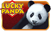 lucky-panda